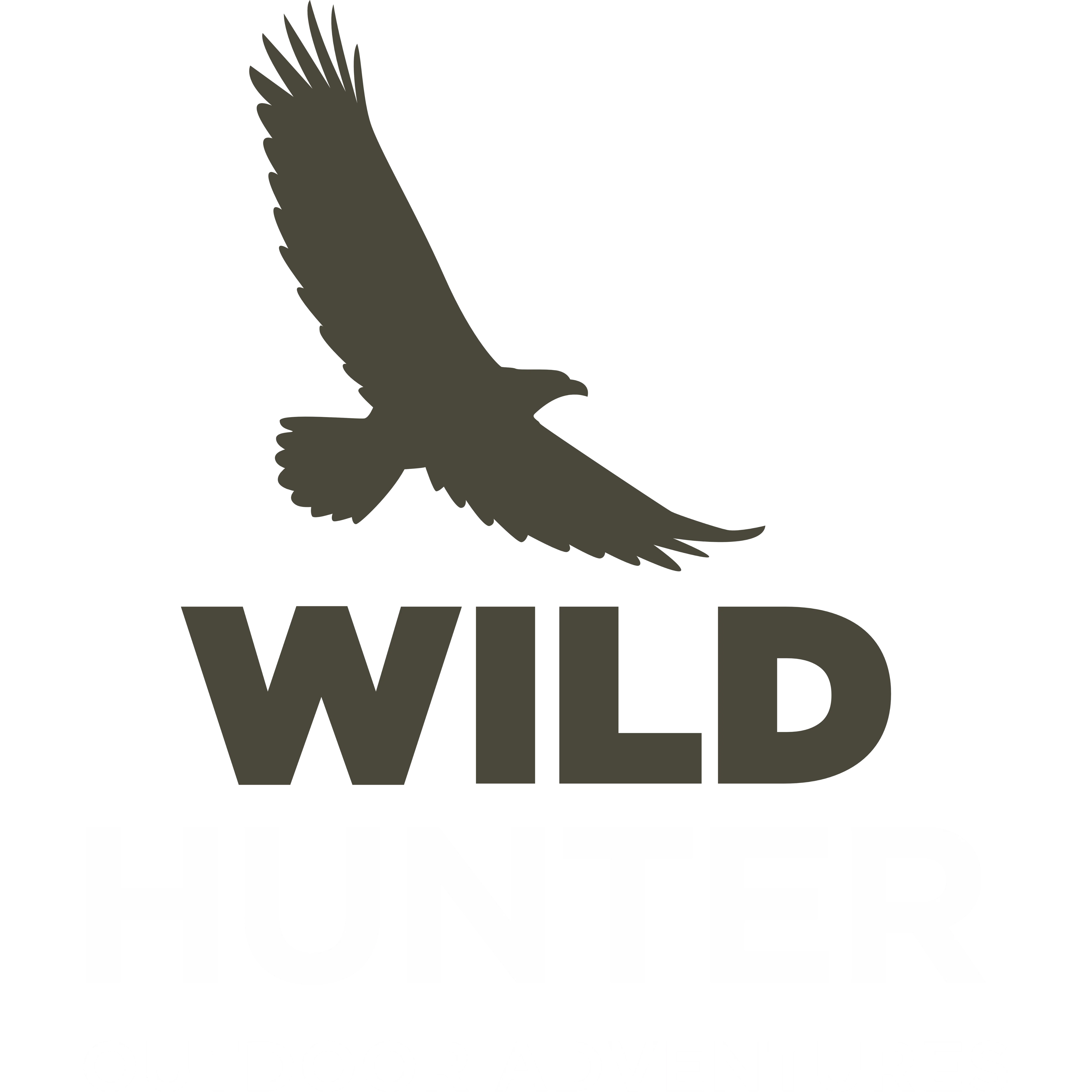 Wildhunter.ie